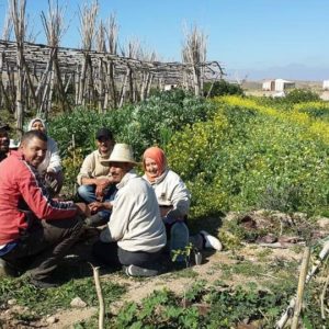 Atelier Jardinage Oasis Ecotourisme Maroc