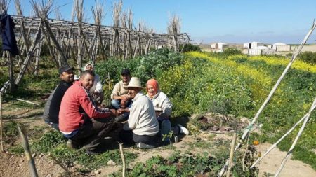 Atelier Jardinage Oasis Ecotourisme Maroc