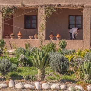 Atelier Jardinage Oasis Ecotourisme Maroc