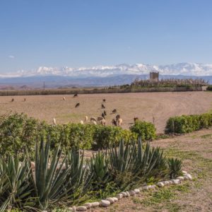 Atelier Jardinage Oasis Ecotourisme Maroc