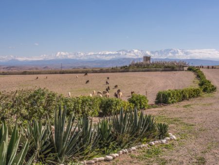 Atelier Jardinage Oasis Ecotourisme Maroc