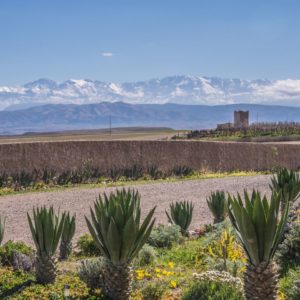 Atelier Jardinage Oasis Ecotourisme Maroc