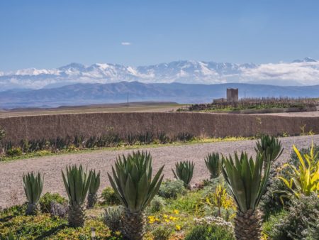 Atelier Jardinage Oasis Ecotourisme Maroc