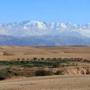 Oasis desert Agafay Marrakech Maroc Terre des Etoiles