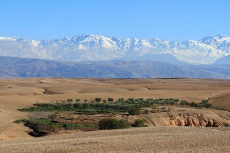 Oasis desert Agafay Marrakech Maroc Terre des Etoiles