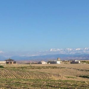 Oasis desert Agafay Marrakech Maroc Terre des Etoiles