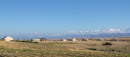 Oasis desert Agafay Marrakech Maroc Terre des Etoiles