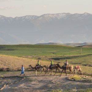 Oasis desert Agafay Marrakech Maroc Terre des Etoiles