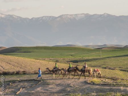 Oasis desert Agafay Marrakech Maroc Terre des Etoiles