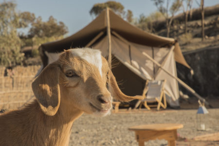 Tentes Ephémères Ferme El Irch Désert Agafay Maroc