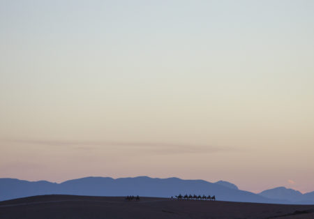 Balade dromadaire desert Agafay Marrakech Maroc