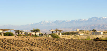 Eco camp Desert Agafay